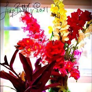 Meet your Posher, Living